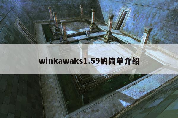winkawaks1.59的简单介绍