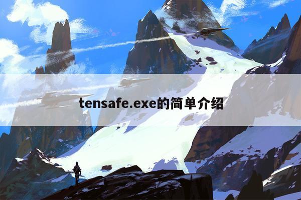 tensafe.exe的简单介绍